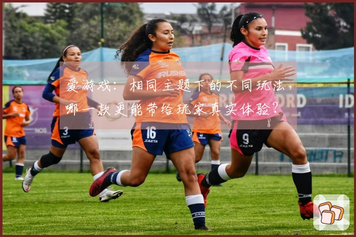 爱游戏：相同主题下的不同玩法，哪一款更能带给玩家真实体验？