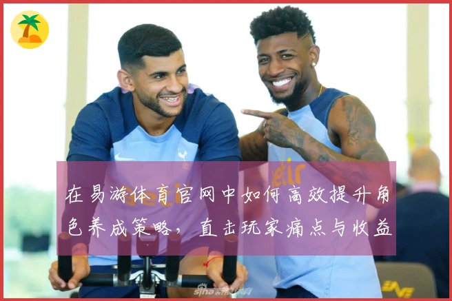 在易游体育官网中如何高效提升角色养成策略，直击玩家痛点与收益提升技巧