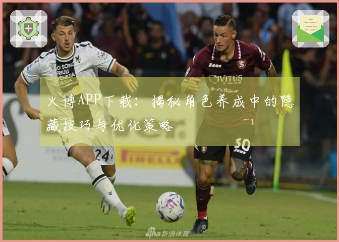 火博APP下载：揭秘角色养成中的隐藏技巧与优化策略