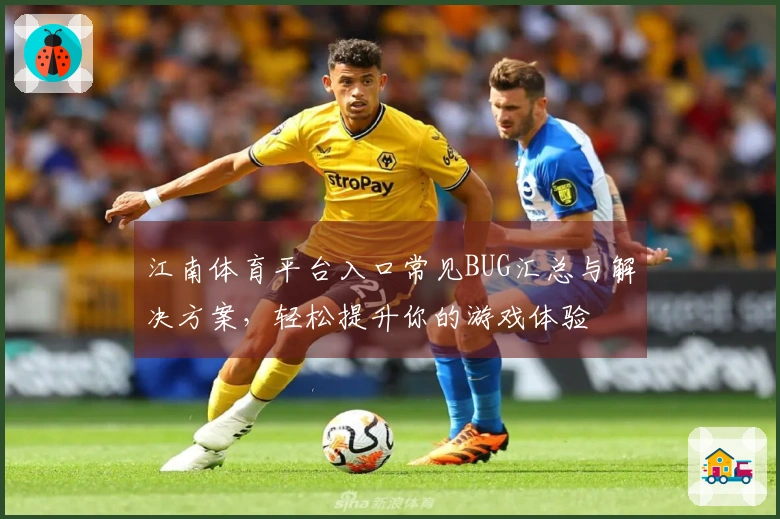 江南体育平台入口常见BUG汇总与解决方案，轻松提升你的游戏体验