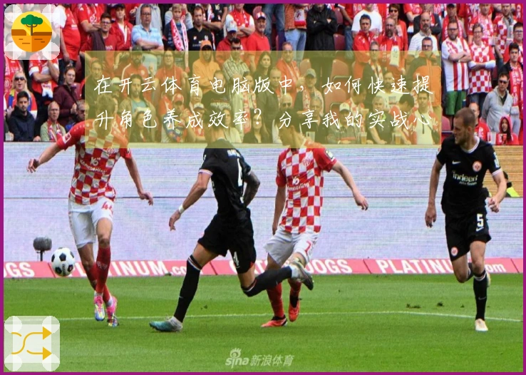 在开云体育电脑版中，如何快速提升角色养成效率？分享我的实战心得与技巧！